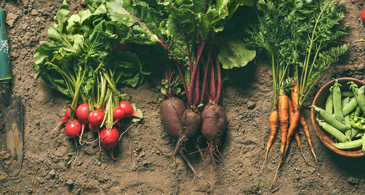 Productos Agrícolas