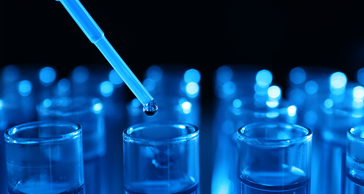 Investigación personalizada sobre liofilización