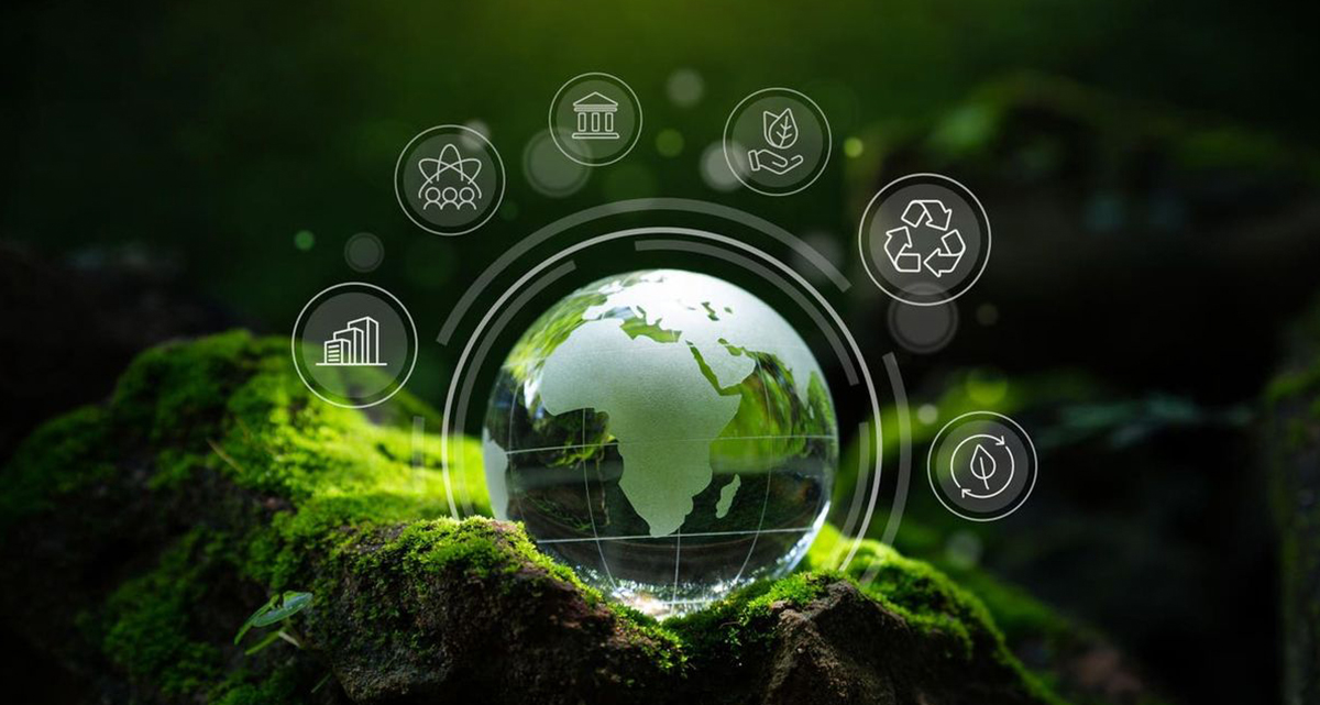 Instituto de Investigación de Tecnología de Liofilización de Sieno (Jiangsu) Co., Ltd