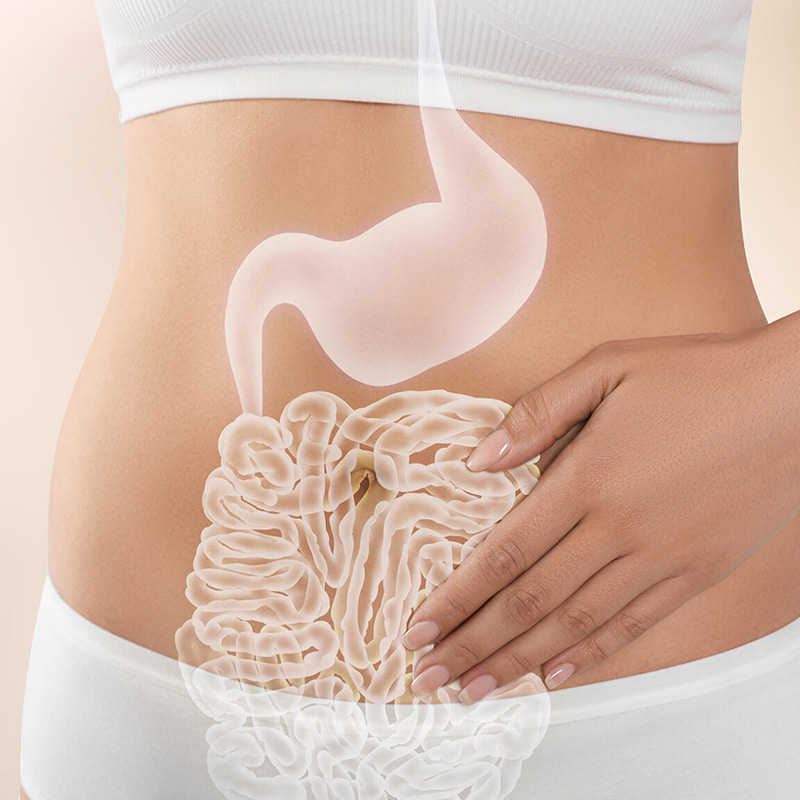 Centrífuga de baja temperatura para productos liofilizados de salud gastrointestinal