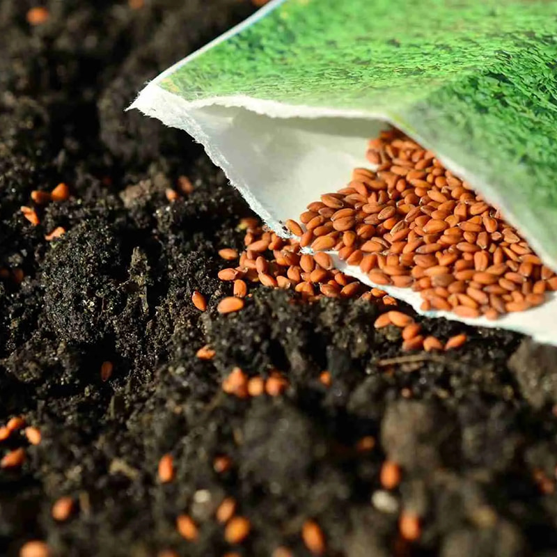 Contador de colonias para semillas y hongos